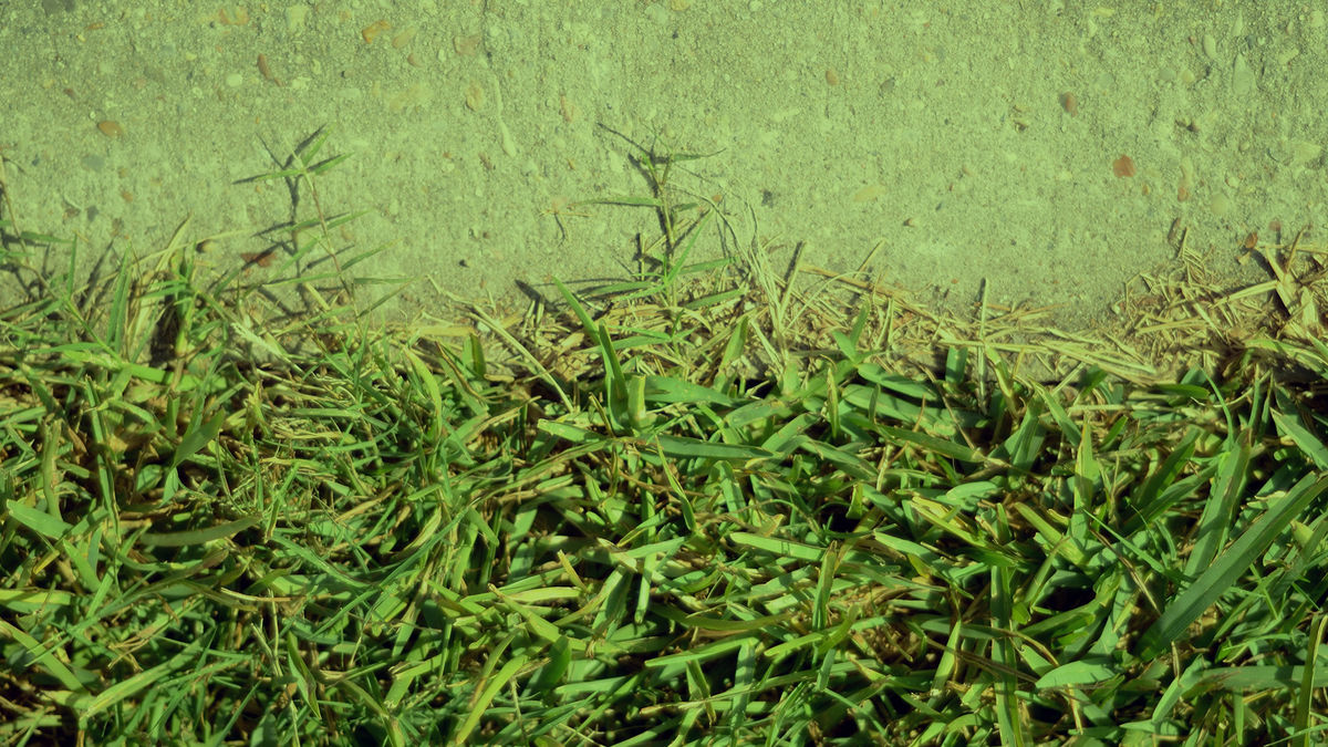 Front Yard Initiative » Southpaw Creative