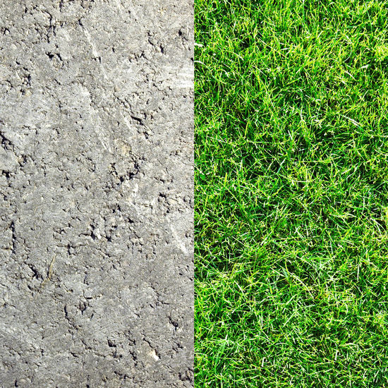 Front Yard Initiative Concrete Grass