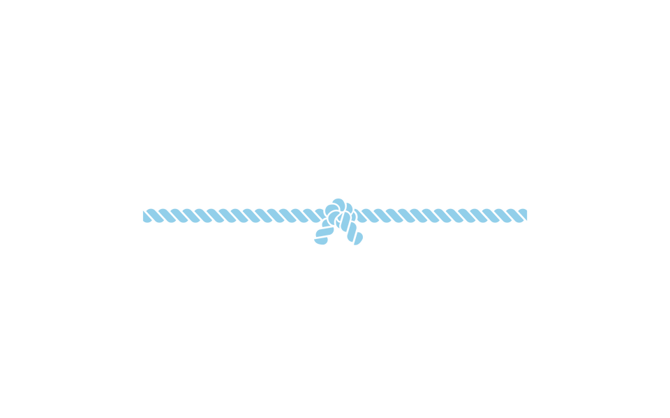 Cinch-consulting_logo-on-dark